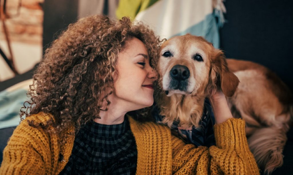 A influência dos animais de estimação na vida das pessoas